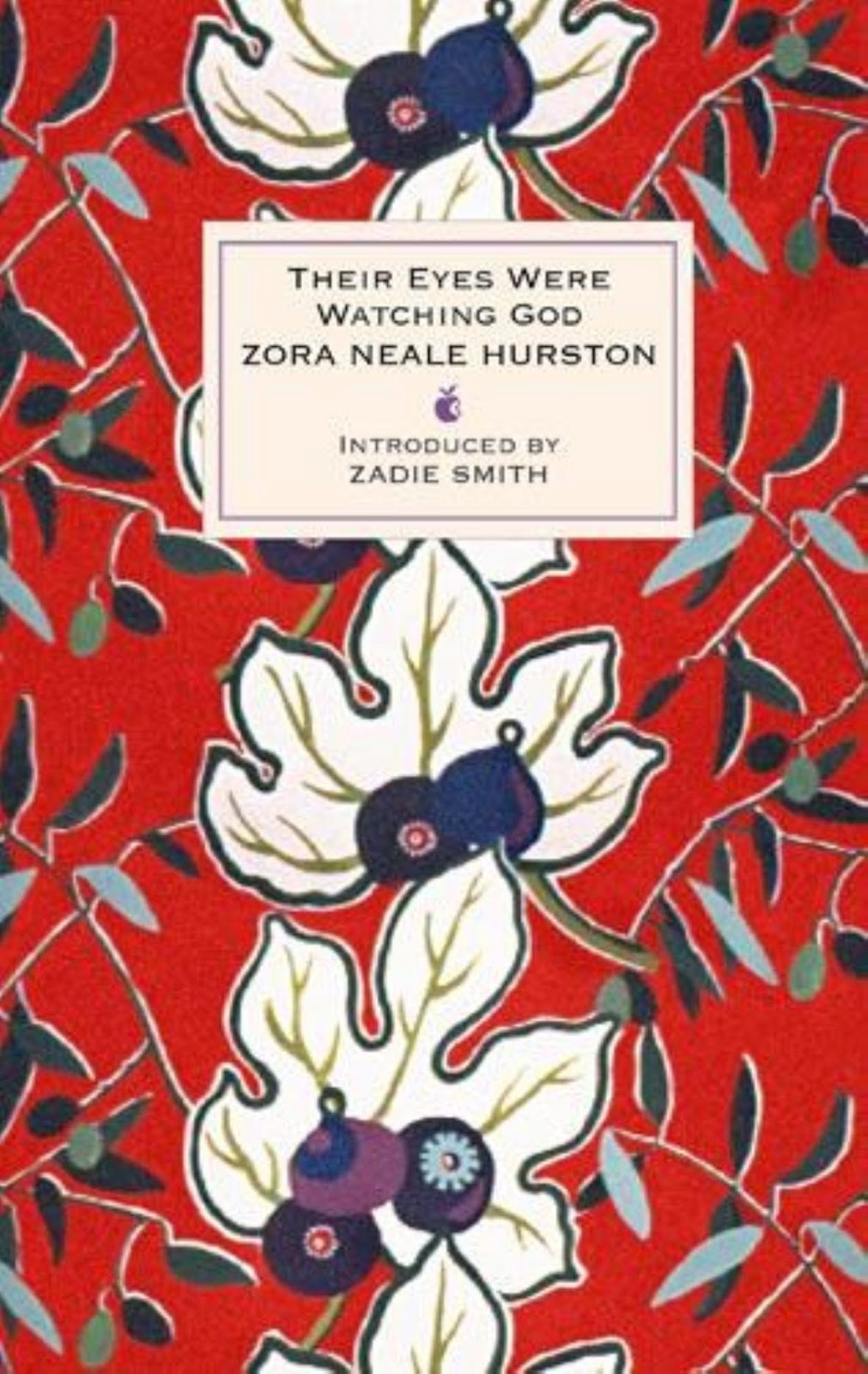 The uses of clothing in the novel their eyes were watching god by zora neale hurston